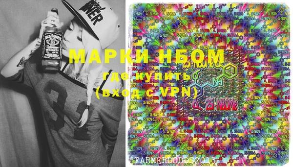 мдпв Протвино